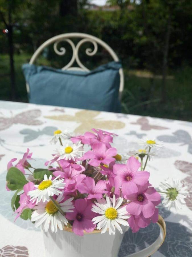 B&B Delle Arti Crema Exteriér fotografie